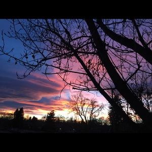 Meet your Posher, Rhonda